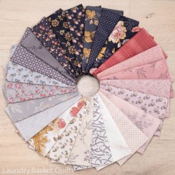 Lot de fats collection...