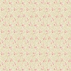 Strawberries and Cream by...