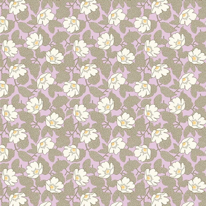 Abloom Poppymallow Lilac