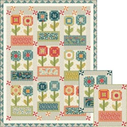 Flower Box Orange Bachelor Button