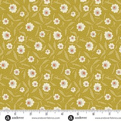 Flower Box Chartreuse Bachelor Button