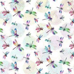 Dragonfly Dance
