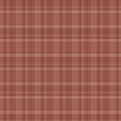 One Sister Yarn Dyes Red Back