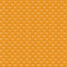 Indigo Cheddar